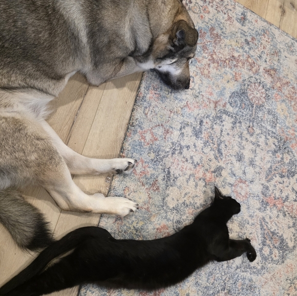 Let's Chill And Sell Some Stuff...or Window Shop And Chat! Just Come On! - Picture 5 of 12